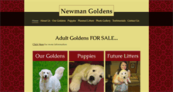 Desktop Screenshot of newmangoldens.com